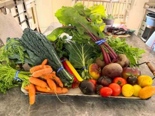 Stirring Memories - Fresh Vegetables Locally Bought